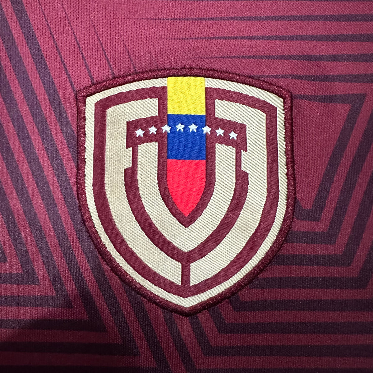 VENEZUELA CDM 2026